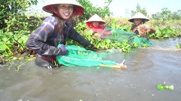 706 / Vào Kênh Cùng Kéo Lưới Bắt Cá