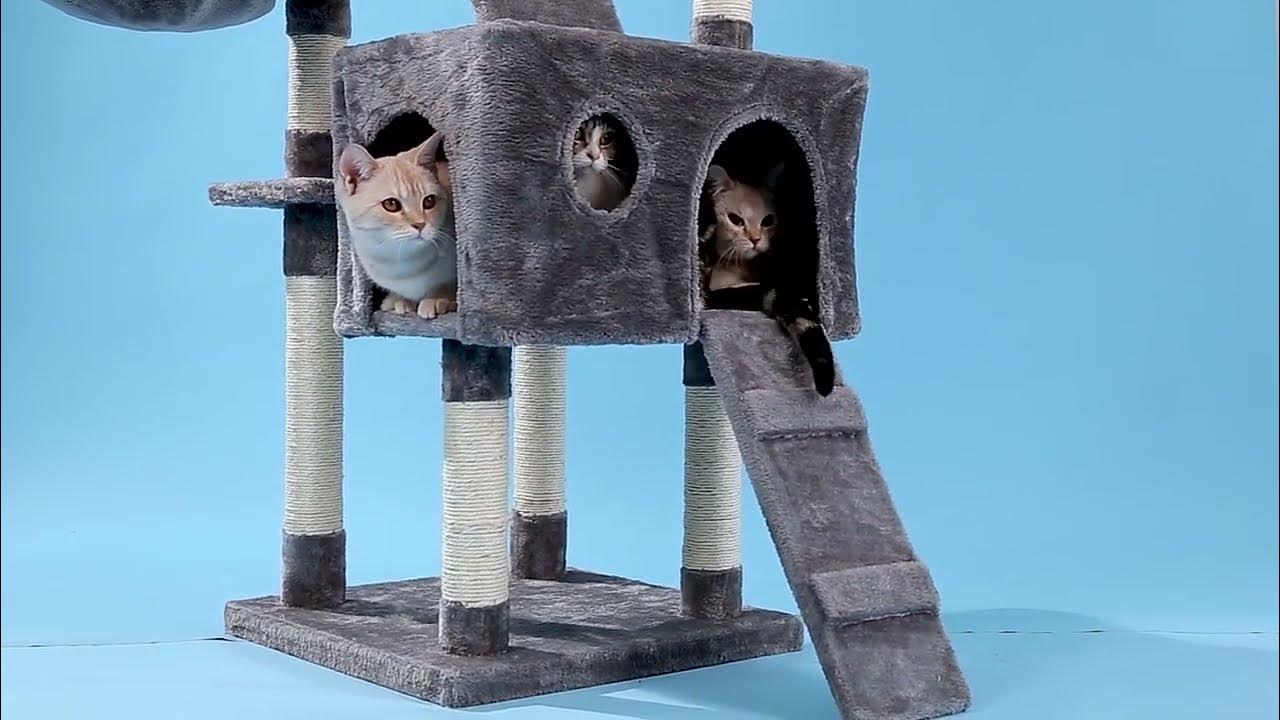 73" Magnificent Cat Tree YouTube
