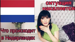 ЧТО ПРОИСХОДИТ В НИДЕРЛАНДАХ СИТУАЦИЯ НАКАЛЯЕТСЯ