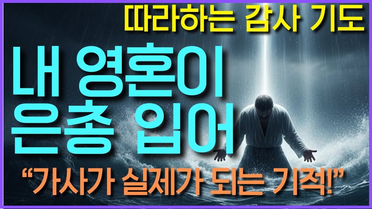 "내 영혼이 은총 입어" 가사가 실제가 되는 기적의 말씀 80선 | 삶이 힘들고 지칠 때 듣는 위로의 성경 연속듣기 | 하루를 시작하는 기도 | 아침을 여는 기도