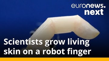 Scientists put living skin on robot that can heal when cut and has wrinkles too