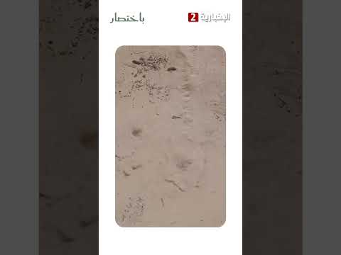 تبوك باختصار