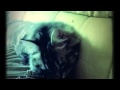 My Vidify Video featuring メロディーの毛布にくるまって by SUPER BUTTER DOG