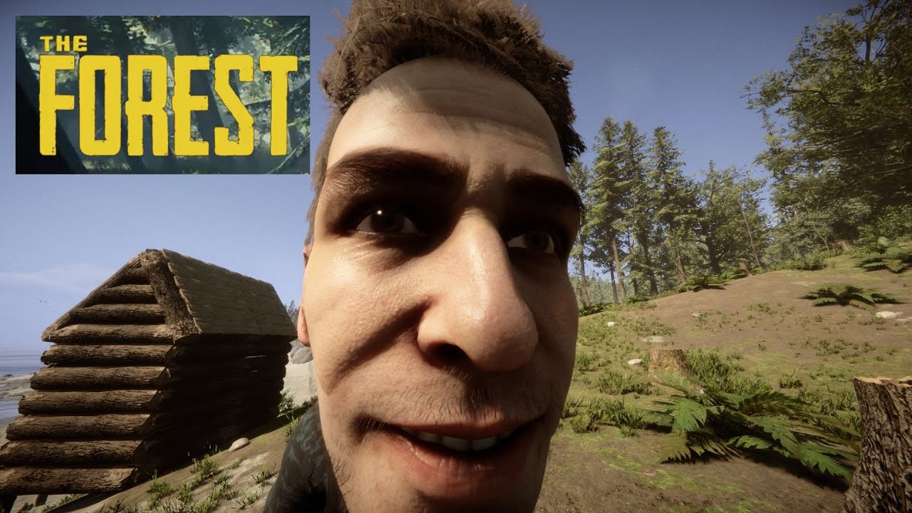 🟡live the forest avec dark et Gafix