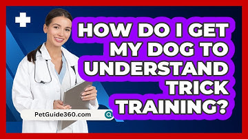 How Do I Get My Dog To Understand Trick Training? - PetGuide360.com