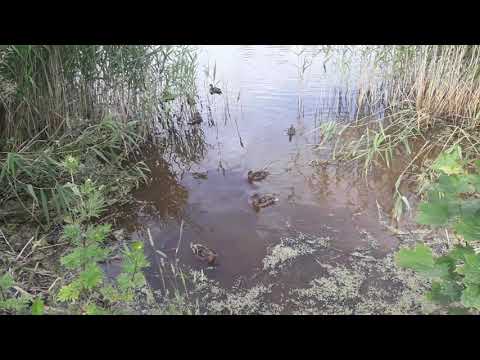 ОТПУСК!!! ГРЯДЫ!!!