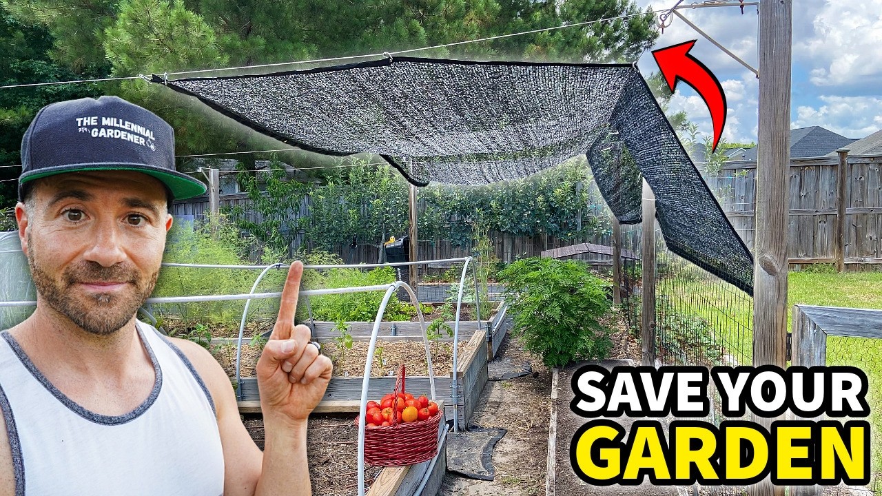 HEAT WAVE Survival Guide: Save Your Garden NOW, or You’ll Be Sorry!