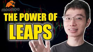 LEAPS Options Guide For Beginners | Why Are LEAPS So Good