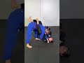 Armbar from closed guard / クローズドからの腕十字 #ブラジリアン柔術 #bjj #jiujitsu 濱田しいな