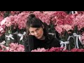 I LOVE YOU FOREVER Official Trailer (2025) | A Timeless Romance That Defies All Odds