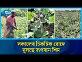 শীত আসার আগেই মাঠ ভরে গেছে রুপবান শিমে | Bean Cultivation | Char fashion Farming | Rtv