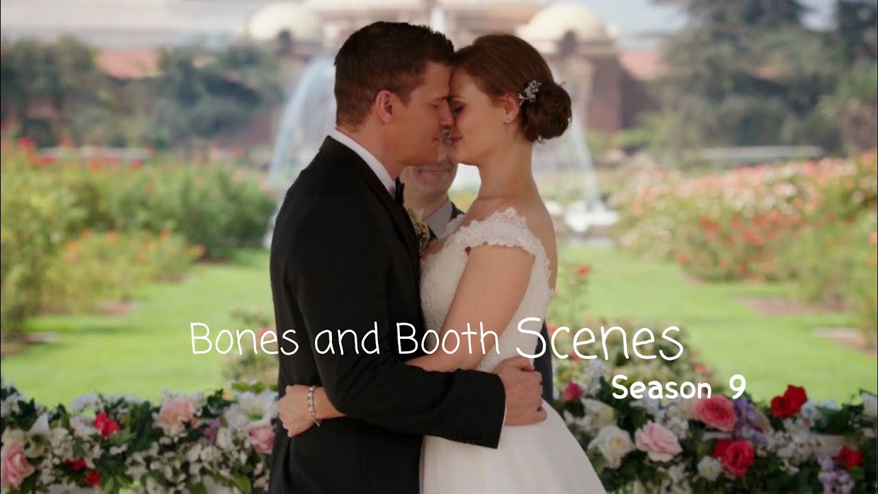 Bones & Booth Scenes (season 9) [1080p]