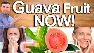 GUAVA NOW - Guava Fruit and Leaves Health Benefits and Contraindications