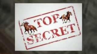 horse racing betting online | horse racing games screenshot 4