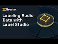 Labeling audio data with label studio