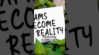 Manifest Your Reality: The Power of Perception #shorts