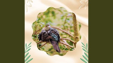 Sublime Backdrops for Calming Down Mode