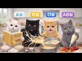 バレンタイン!ケーキ作りで性格が違う猫たちの個性爆発!【血液型あるある】