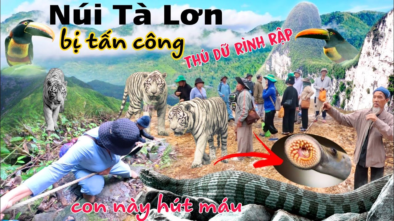Du Lịch Campuchia Cả đoàn gặp nạn khi vào sâu trong rừng Núi Tà Lơn nơi thú dữ rình rập