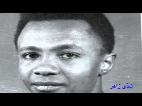 زيدان ابراهيم بحسك جوه في أعماقي نور كلمات بحبك شذى زاهر