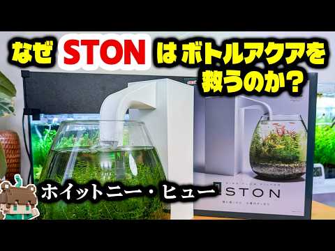 20cm以下の小型水槽/nanotank - YouTube