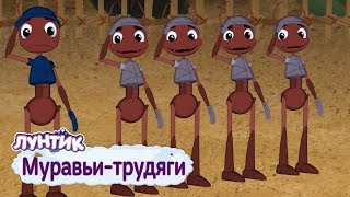 Муравьи-трудяги 🐜 Лунтик🐜 Сборник мультфильмов 2019