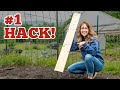 #1 Secret Hack to Seed Germination for More Food with Less Water!