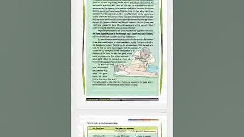 a stomach with a window