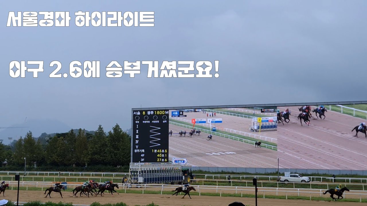 경마가 간절하면 빗겨 나갑니다!(서울경마 하이라이트)