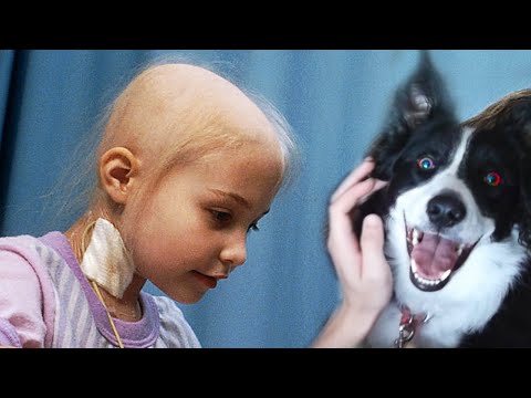 Dog Started Panic Looking At Little Girl, Then Doctors Discover A Shocking Truth