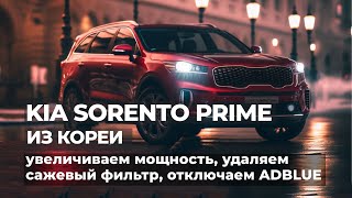 видео: Удаление сажевого фильтра, отключение Adblue, чип-тюнинг Kia Sorento Prime, Santa Fe, Palisade картинка: Удаление сажевого фильтра, отключение Adblue, чип-тюнинг Kia Sorento Prime, Santa Fe, Palisade