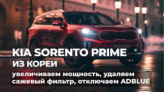 Удаление сажевого фильтра, отключение Adblue, чип-тюнинг Kia Sorento Prime, Santa Fe, Palisade