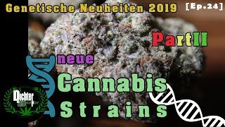 CANNABIS Genetik 2019 - NEUE Weed Sorten Teil 2 | Strain Check [Pt. 2] // Dichter & Danker Ep.24