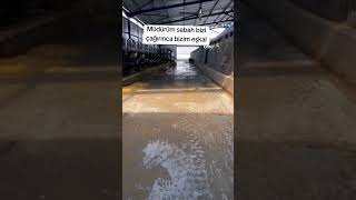 Günaydın Müdürüm