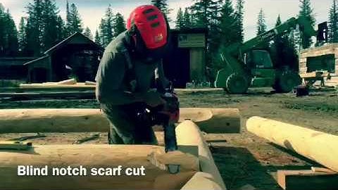 Saddle Notch Log Building course student cuts #logcabin #buildacabin #logbuilding