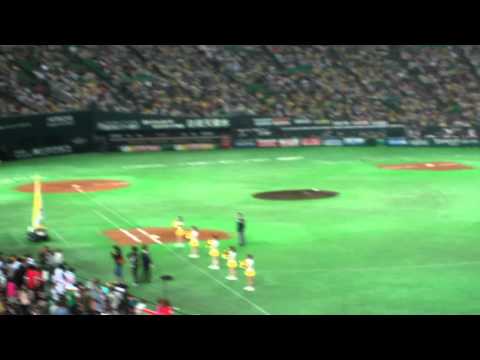 2011/5/4　がんばろう東北フラッグ