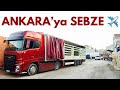 ANKARA'ya SEBZE Götürüyoruz / Neden Yollarda Değildim / Jako Papağanı / Sohbet Muhabbet