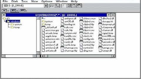 DOSBox Microsoft Windows 3.11 for Workgroups