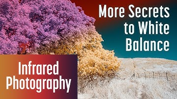 More Secrets to White Balance in Infrared Photography