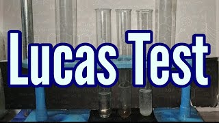 Lucas Test : Practical And Mechanism Explained Lucas Test : Practical And Mechanism Explained