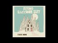 Flying Raccoon Suit - Static Home