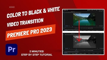 How to Create a Color To Black And White Transition - Premiere Pro 2023