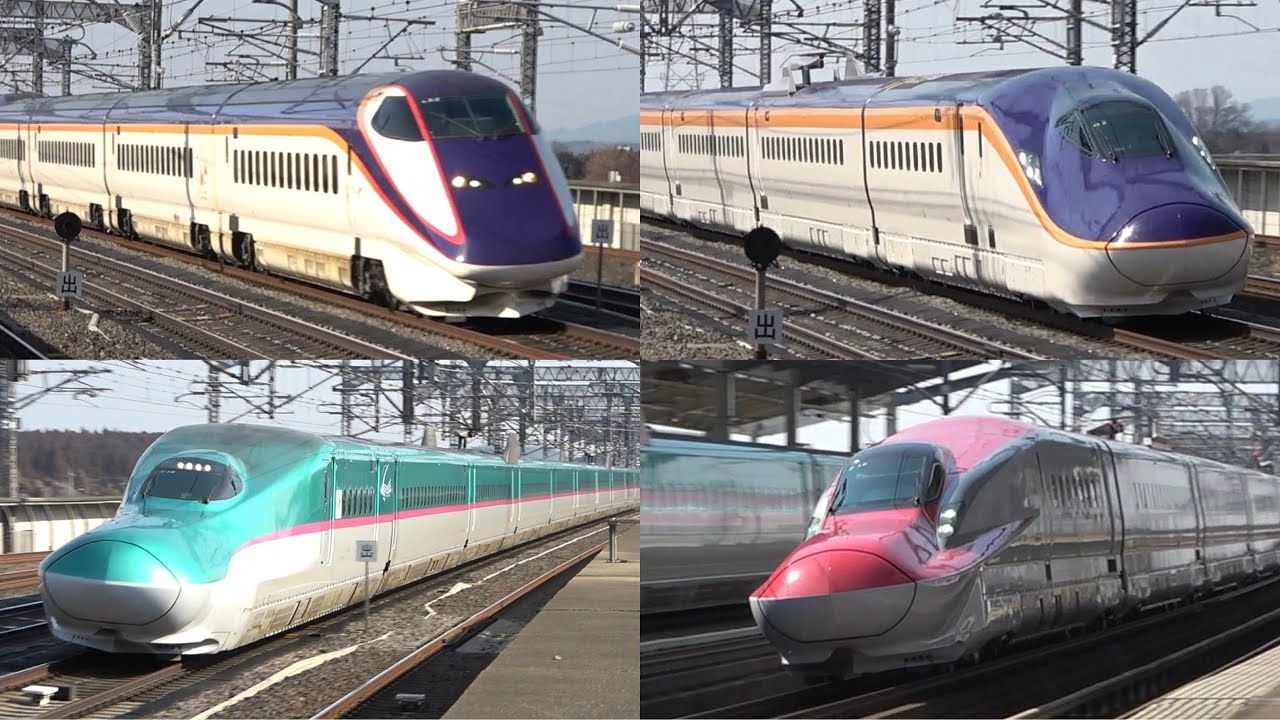 eriha  「8号線」 eriha 「8号線」