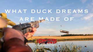What Duck Dreams Are Made Of | The Grind S9:E2
