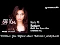 Nadia Ali - Rapture (Avicii New Generation Extended Mix)