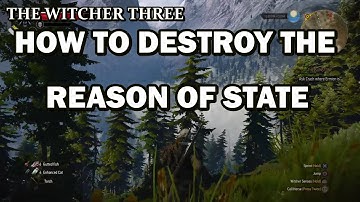 The Witcher 3 , How To Destroy The Reason Of State