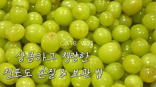 카페사장이 알려주는 꿀팁! 💚청포도 편💚 / 꼭 해보세요! 손님들이 좋아해요🌿/ 생과일주스 맛집으로 불리는 이유🍃/ 개인카페 브이로그 / cafe vlog