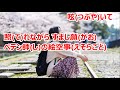 絵空事/西城なつ美 カラオケ