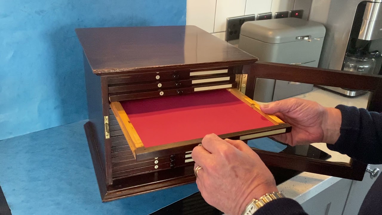 1920s Cedar Mahogany Collectors Cabinet.