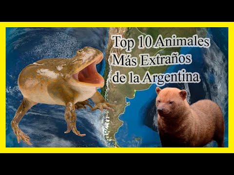 Top 10 animales más extraños de la Argentina